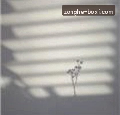 陈浩